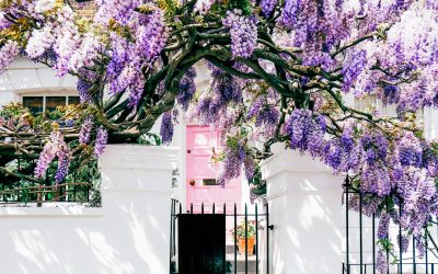 Spring 2021, our favourite client press highlights